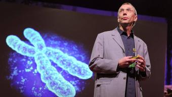 NOBEL للطب للسويدي سفانتي بابو