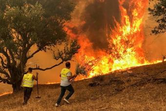 الإعدام لـ48 متهماً بحرائق الجزائر
