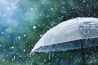 طقس الغد غائم وعاصف مع رياح قوية