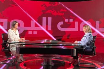 الريحاني: لتدويل ملف المرفأ اذا لم نصل الى نتيجة بالقضاء اللبناني