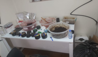 ضبط كمّيات مهرّبة ومقلّدة من السيجار والمعسّل
