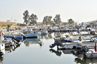 "على أونا على دوّي".. أيّ سمك تأكلون؟