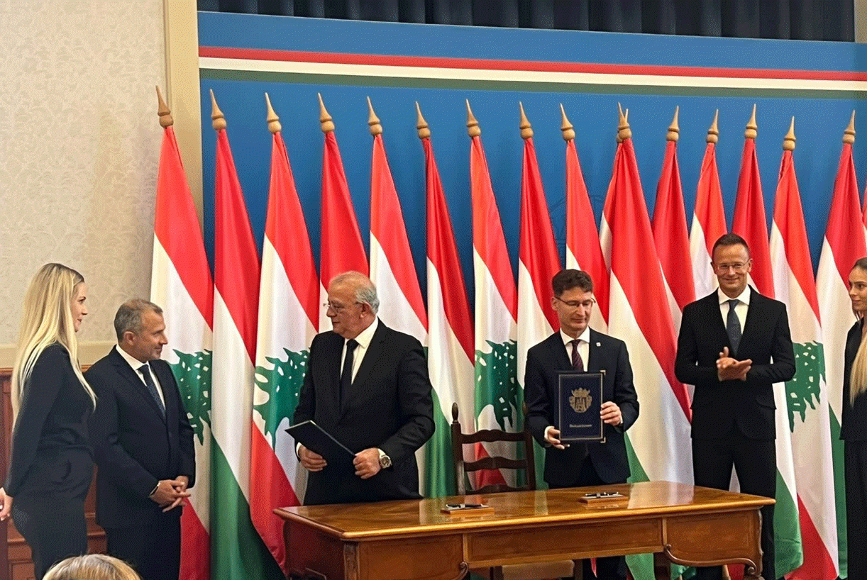 باسيل: نكافح ضد الجهات التي تحاول توطين النازحين