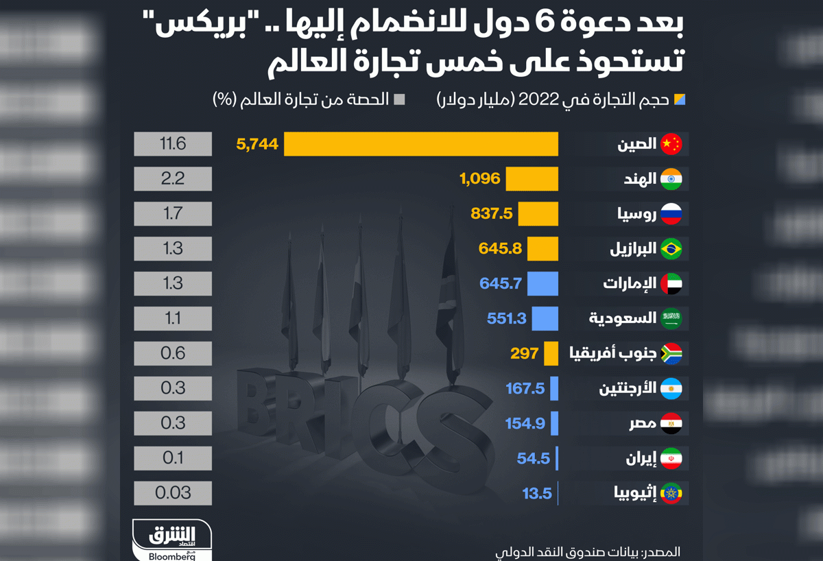 ما الأهمية الإقتصادية لضمّ أعضاء جُدد إلى مجموعة «بريكس»؟