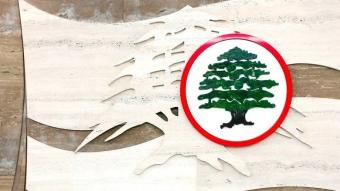 "القوات" تستنكر الاعتداء على البستاني في بيت المحامي