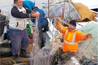 صيّادو صور محاصرون بين الحرب واحتكار المسامك