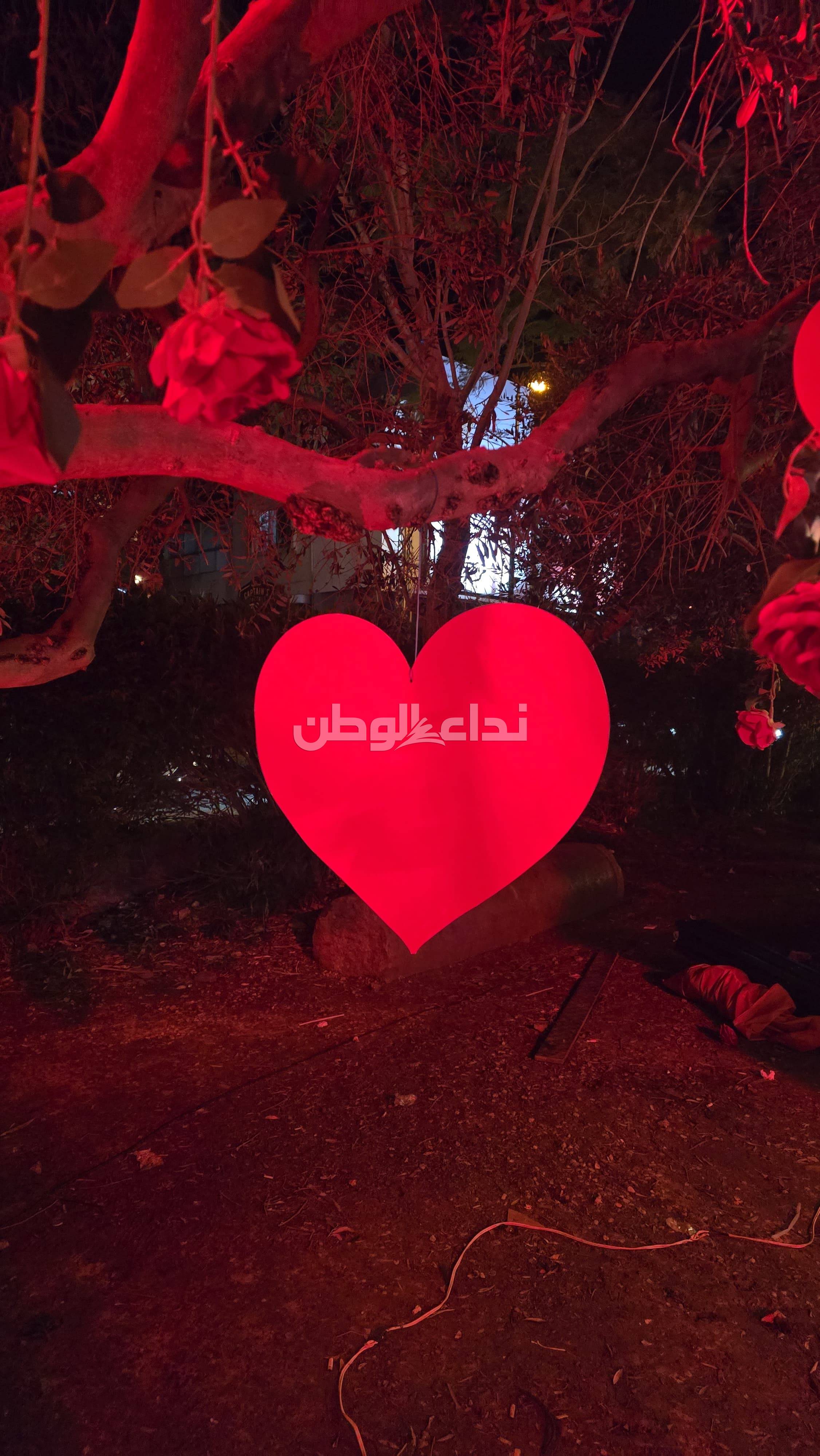 خاص بالصور - جبيل تحتفل بالحب والتسوق في شباط