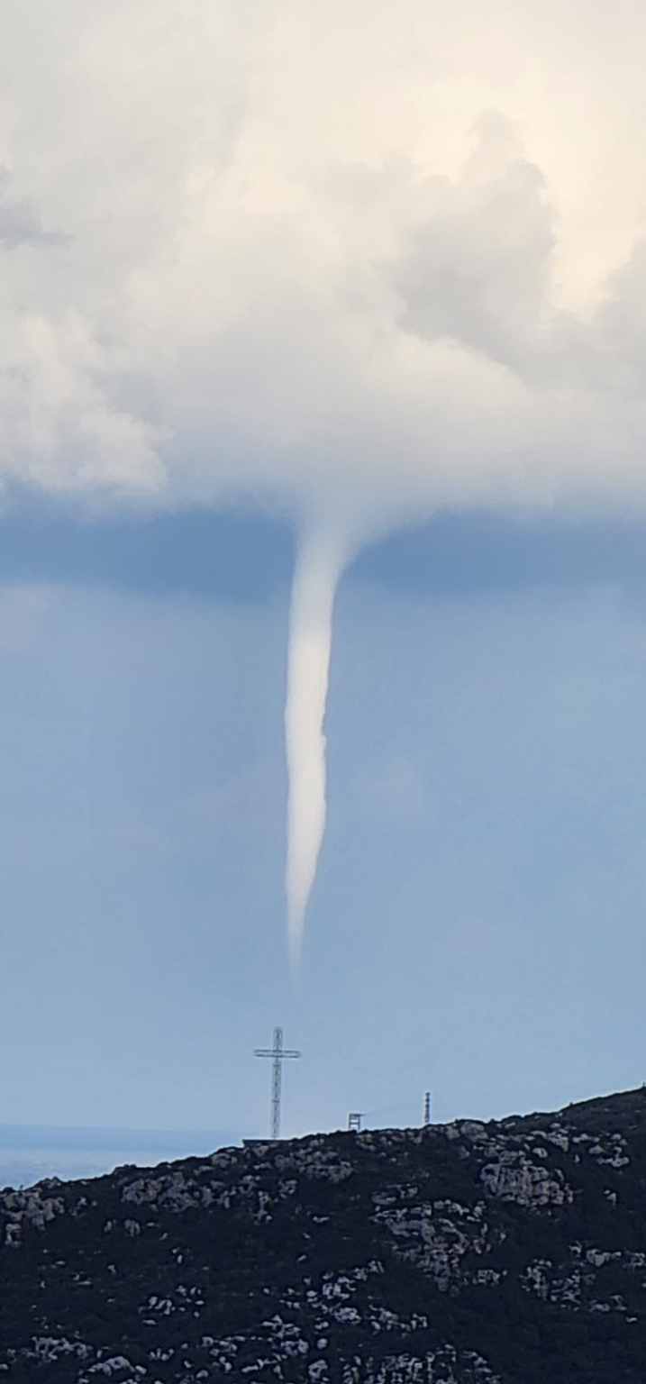 بالصور- تنين البحر على شاطئ كبا وسلعاتا البترون