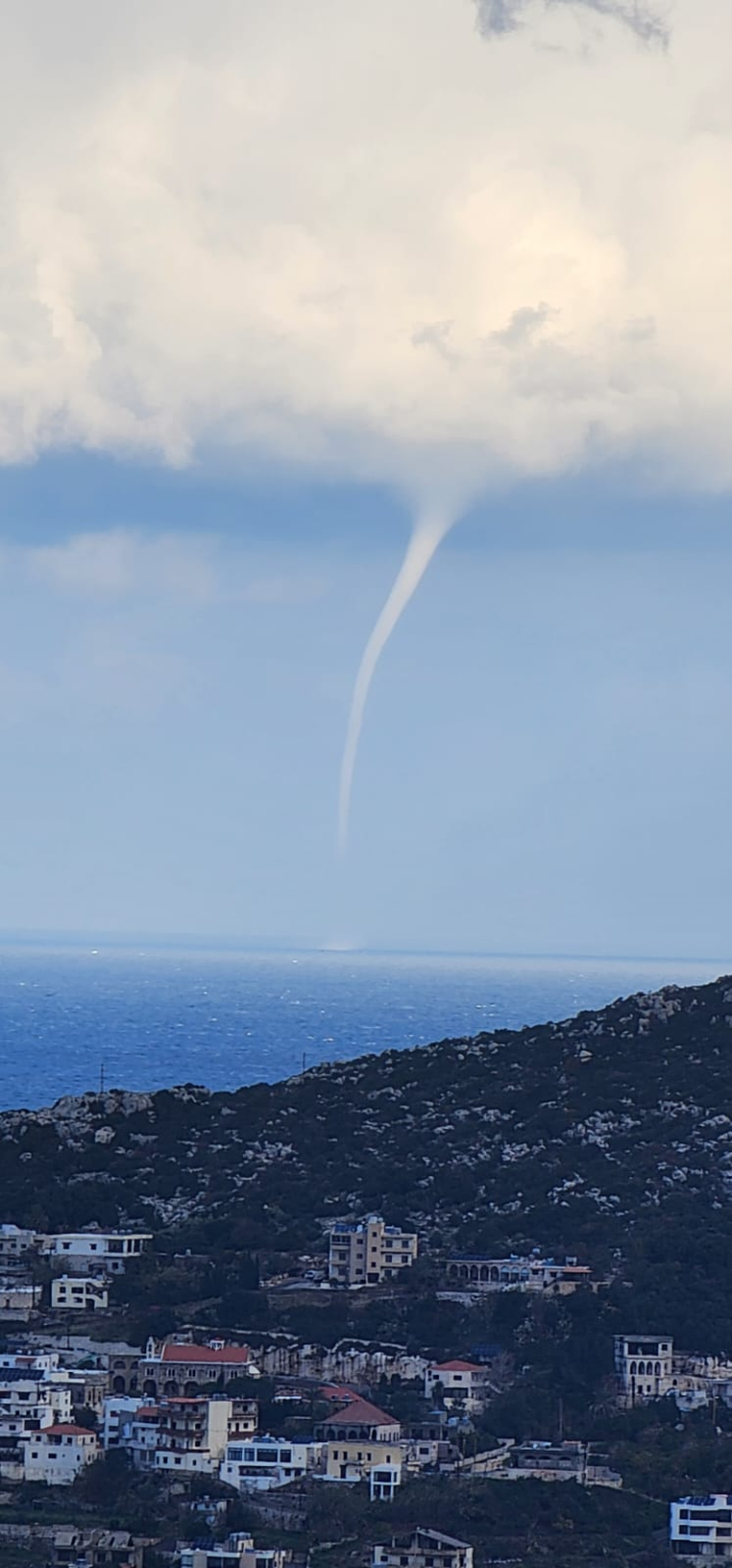 بالصور- تنين البحر على شاطئ كبا وسلعاتا البترون