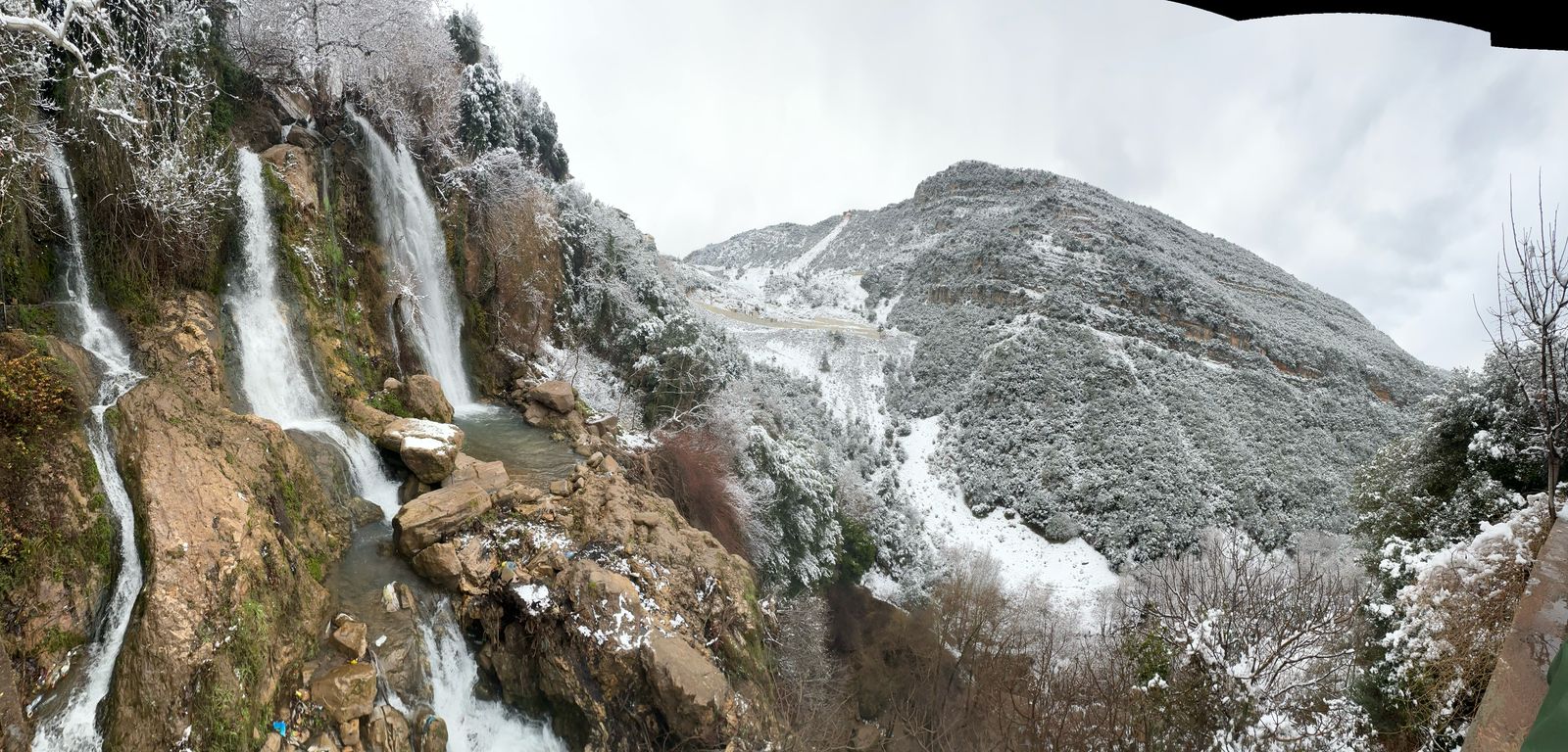 بالفيديو والصور - الزائر الأبيض زين طبيعة بساتين العصي