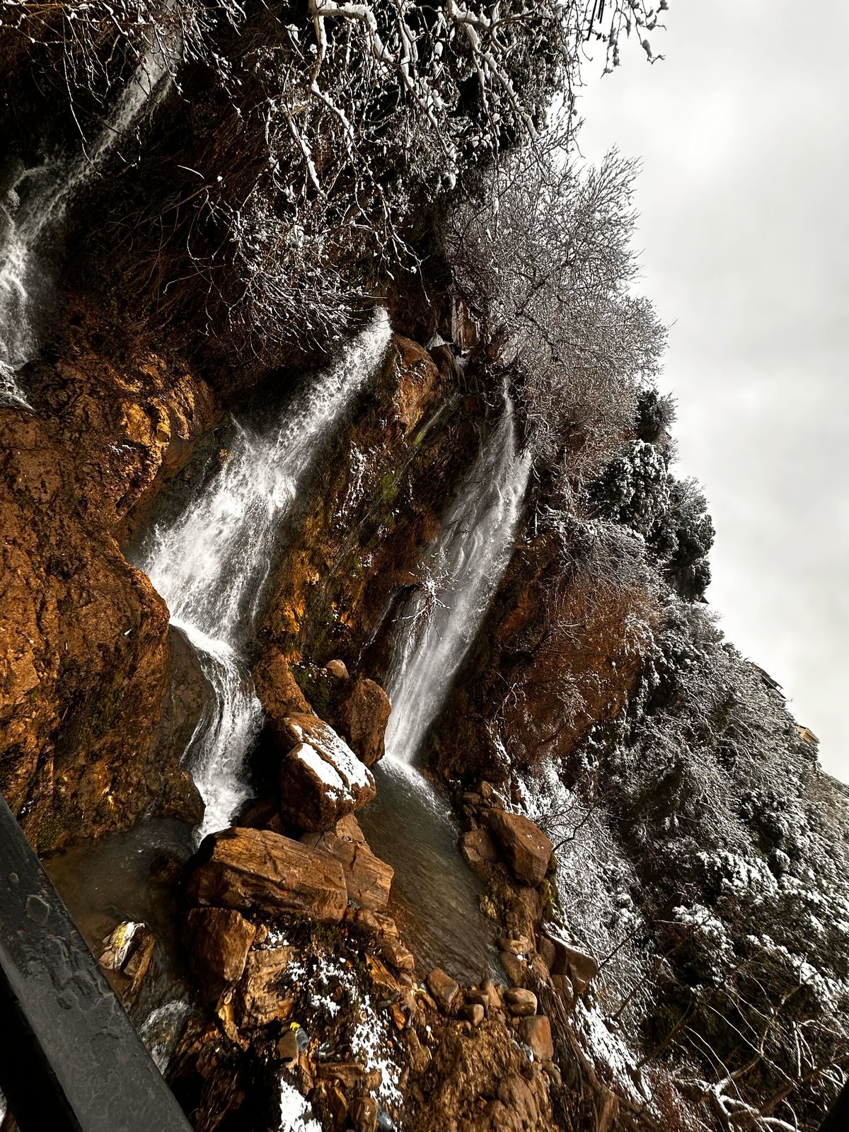 بالفيديو والصور - الزائر الأبيض زين طبيعة بساتين العصي