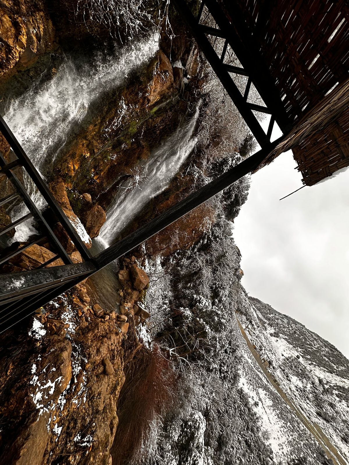 بالفيديو والصور - الزائر الأبيض زين طبيعة بساتين العصي