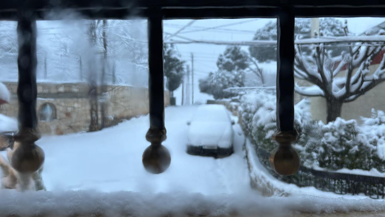 بالفيديو والصور - الزائر الأبيض زين طبيعة بساتين العصي