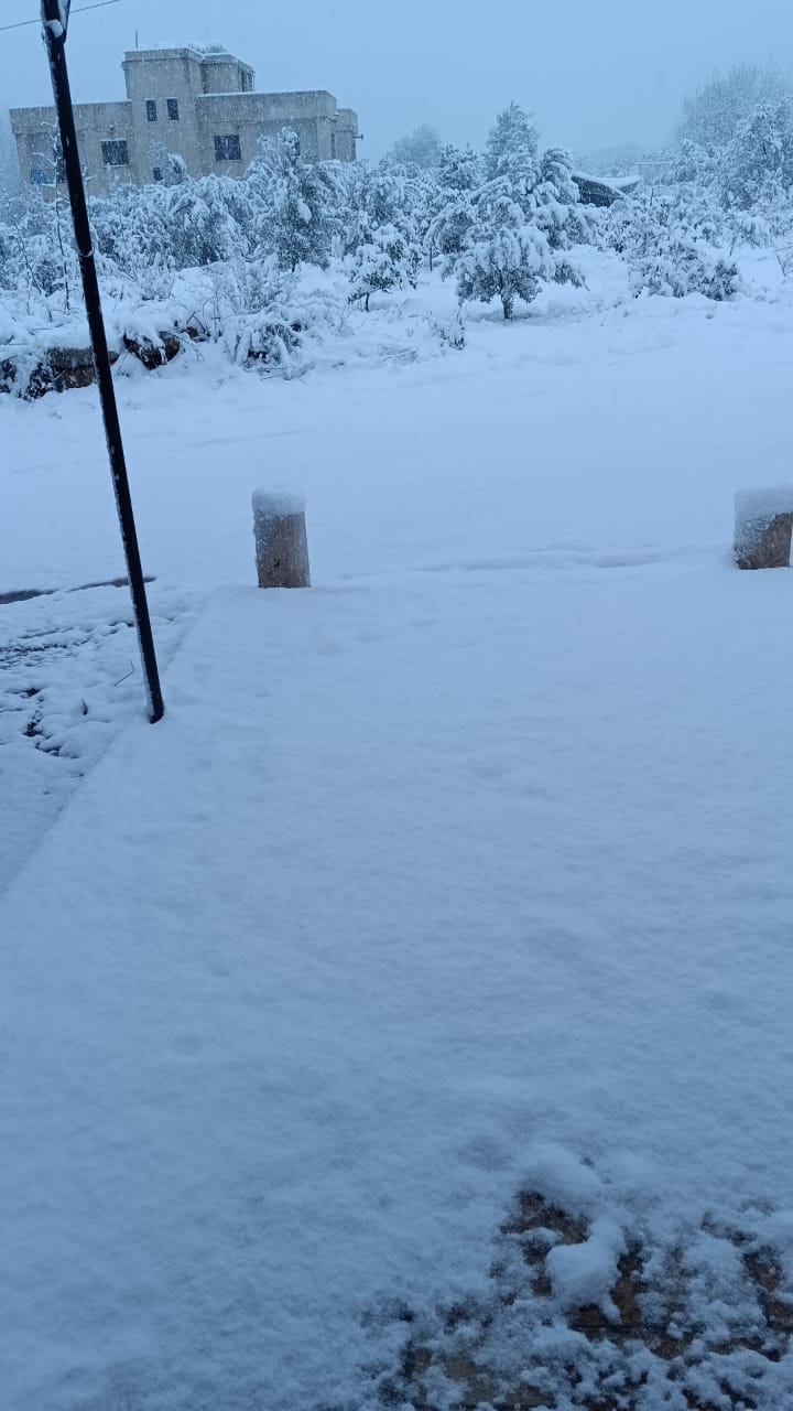 بالفيديو والصور - الزائر الأبيض زين طبيعة بساتين العصي