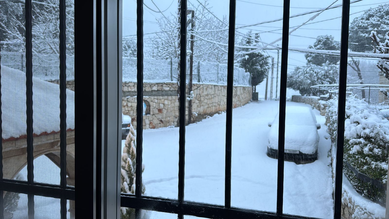 بالفيديو والصور - الزائر الأبيض زين طبيعة بساتين العصي