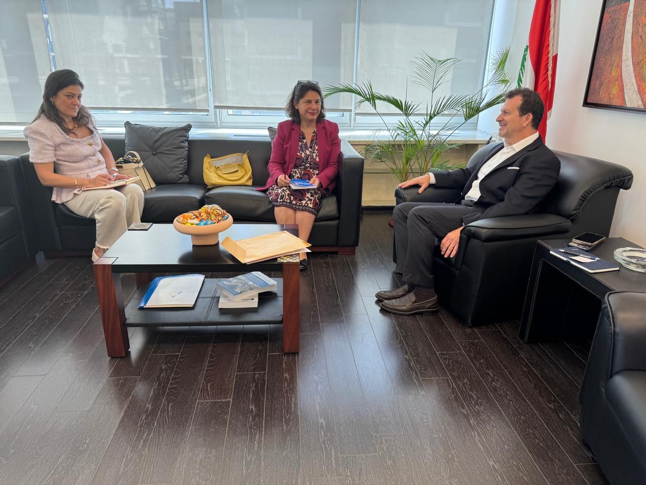 سلسلة لقاءات لشحادة في الوزارة