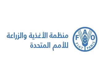الفاو: ارتفاع في أسعار الغذاء العالمية