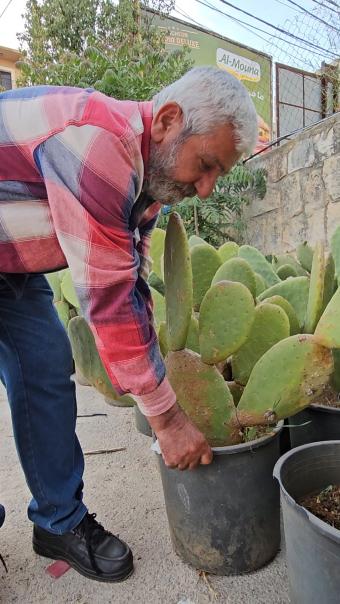 هل يستعيد "بترول الجنوب الأخضر" مجده؟