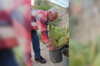 هل يستعيد "بترول الجنوب الأخضر" مجده؟