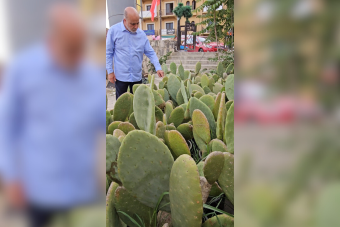 هل يستعيد "بترول الجنوب الأخضر" مجده؟