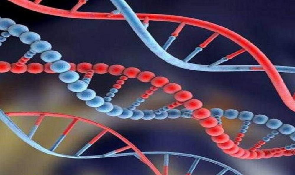 الهويّة حلمٌ معلّق بفحص الـ DNA: حق تعطّله الكلفة