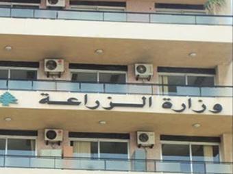 "الزراعة": تعيين 106 حرّاس أحراج وصيد وسمك