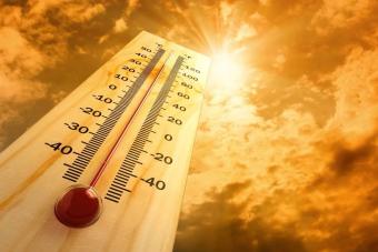 مصلحة الأبحاث الزراعية: لا موجات حر استثنائية ولا زلازل