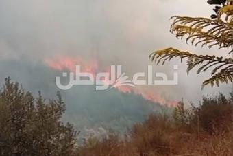 بالفيديو والصور - طوافات الجيش تشارك في إخماد حريق كبير بين طنبوريت وزغدرايا