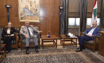 مصري بعد لقاء بري: قوة لبنان بوحدة أبنائه وتضامنهم