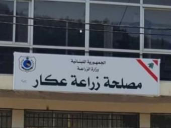 بالفيديو: مصلحة زراعة عكّار تطلق بومة في الطبيعة بالتعاون مع الجيش