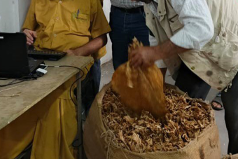"الريجي": انتهاء تسلّم محاصيل التبغ والتنباك في الجنوب والشمال