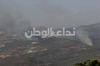 بالصور: غارات إسرائيلية على جبل الريحان والعيشية المحمودية