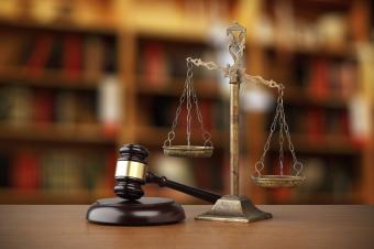 الحكومة تنقلب على الدستور: الصندوق أولًا
