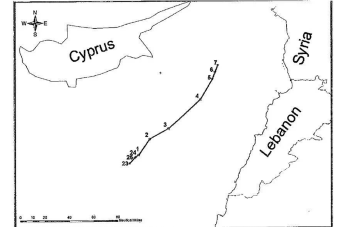 منتدى الطاقة والدماء