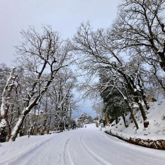 انخفاض بالحرارة وثلوج… لبنان على موعد مع منخفض جوي