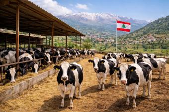 ماذا نأكل... ومن أين نستورد ؟