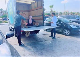 أزمة الكلاب الشاردة تعود لتهدّد صيدا