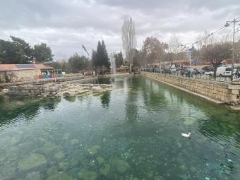 بركة البياضة... حين تعود الحياة إلى رأس العين وبساتين بعلبك