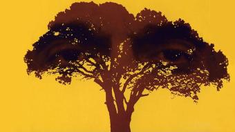 ملصق فيلم "Taste of Cherry"