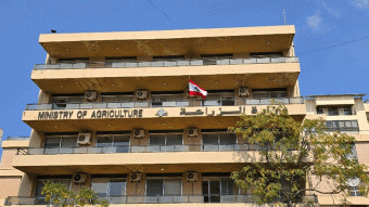 الزراعة: المحاصيل متوفرة والأسعار المرتفعة غير مبرّرة