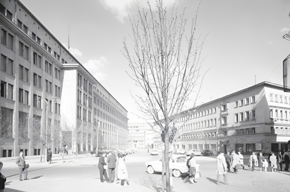 هكذا استخدمت 