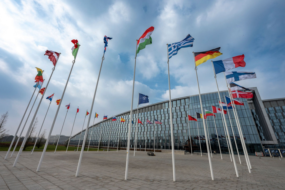 نمرٌ من ورق… عندما وصف ترامب حلفاءه بالجبناء