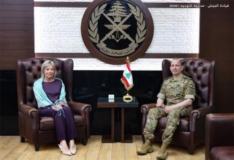 هيكل يستقبل وفودًا في اليرزة لبحث الأوضاع العامة