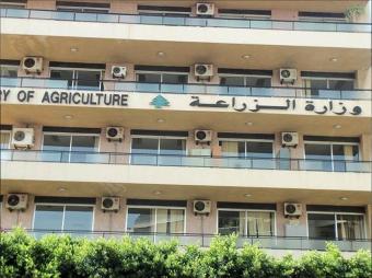 "الزراعة" أطلقت مشروعًا جديدًا لدعم القطاع بتمويل ألماني