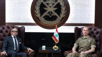 هيكل استقبل السفير المصري والمطارنة الموارنة في الاغتراب