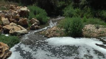 "الحاصباني" يحتضر: المياه الآسنة تهدّد الزراعة والسياحة والثروة السمكية