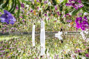 "teamLab Planets" في طوكيو لا يشبه متحفًا آخر في العالم