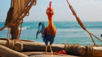 الديك "Hei Hei" صديق "Moana"