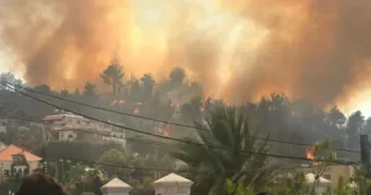 حريق هائل يلتهم أحراج عين جرفا... ورئيس البلدية يُنقل إلى المستشفى اختناقًا