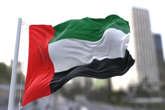 الأمن السيبراني الإماراتي يحبط هجمات منظمة قبل تحقيق أهدافها